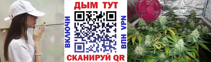 магазин продажи наркотиков  Таруса  Марихуана Bruce Banner 
